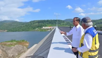 10 Tahun Presiden Jokowi: Bangun 45 Bendungan, Perkuat Ketahanan Pangan