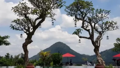 10 Tempat Wisata Instagramable di dalam di Sekitar Sentul, Ada Negeri pada Atas Awan