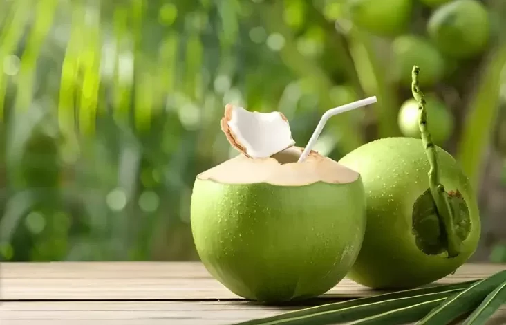 5 Manfaat Minum Air Kelapa pada waktu Perut Kosong, Bisa Melarutkan Batu Ginjal