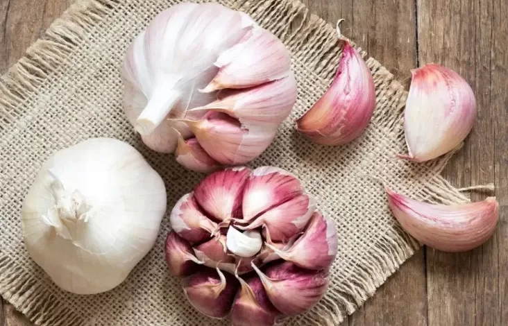 7 Bahan Dapur yang tersebut yang dimaksud Berkhasiat untuk Penyembuhan Alami, dari Bawang hingga Garam