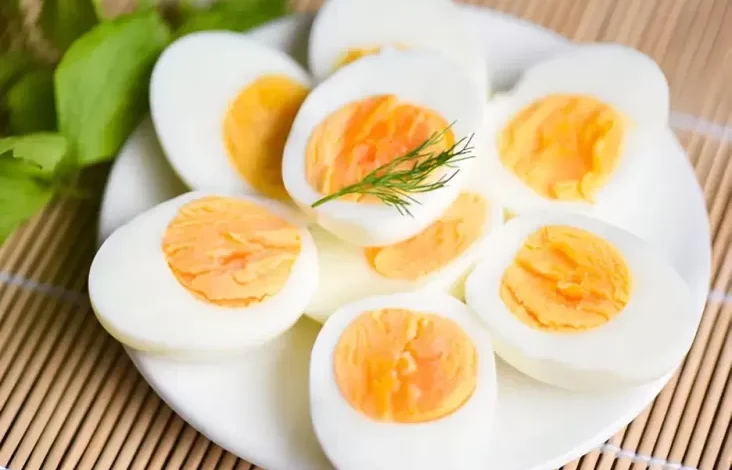 7 Makanan Tinggi Protein untuk Diet kemudian Cara Konsumsinya