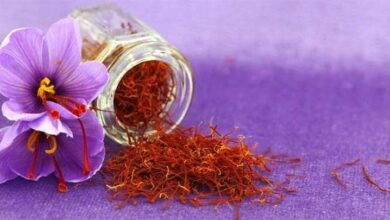 5 Sistem Kecantikan yang dimaksud yang disebutkan Menggunakan Kandungan Saffron