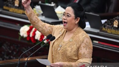 Profil Puan Maharani
