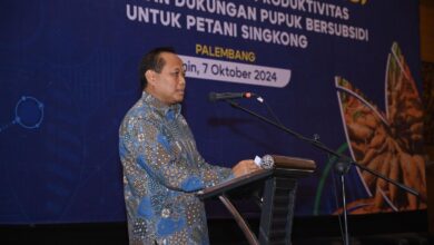 Pupuk Indonesi sambut usulan singkong jadi komoditas penerima subsidi