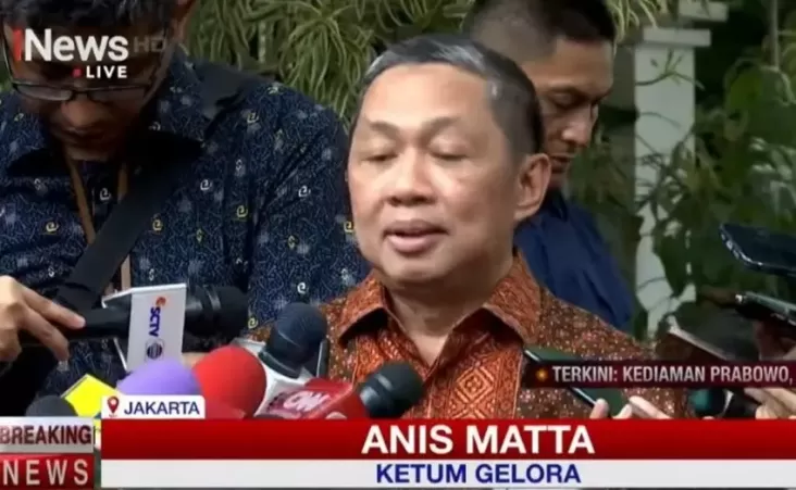 Anis Matta Jadi Wakil Menteri Luar Negeri Fokus pada Planet Islam