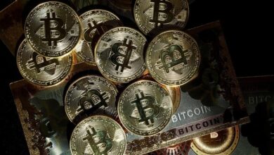 Bandar Kripto Penipu Ditangkap Usai Curi Uang Mata Uang Rupiah 390 Miliar