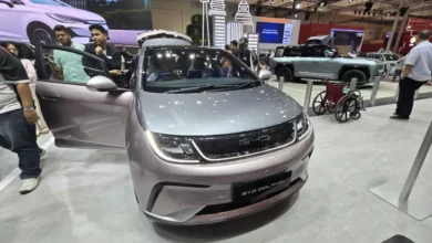 BYD Dolphin Recall pada di China, Bagaimana Nasib Pelanggan dalam tempat Indonesia?