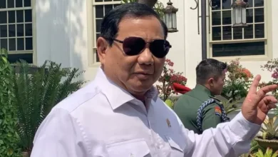 Daftar Politikus yang dimaksud Dipanggil Prabowo untuk Jadi Menteri 2024-2029