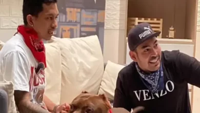 Dari Pitbull ke Bulldog, Pelajari Karakter Anjing lalu Tips Perawatan dari Shine dan juga Robby Purba