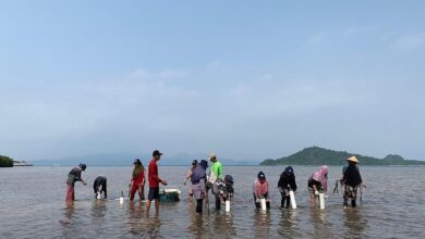 PTBA Peduli Lingkungan, Jaga Laut Lewat Restorasi Padang Lamun