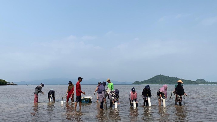 PTBA Peduli Lingkungan, Jaga Laut Lewat Restorasi Padang Lamun