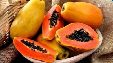Jangan Coba-Coba, 5 Grup Orang Hal ini Pantang Makan Pepaya