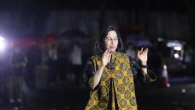 Intip Kekayaan Sri Mulyani, Calon Menteri Keuangan pada Pemerintahan Prabowo-Gibran