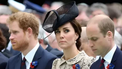 Kate Middleton Menyerah Damaikan Pangeran William lalu juga Harry, Sudah Angkat Tangan