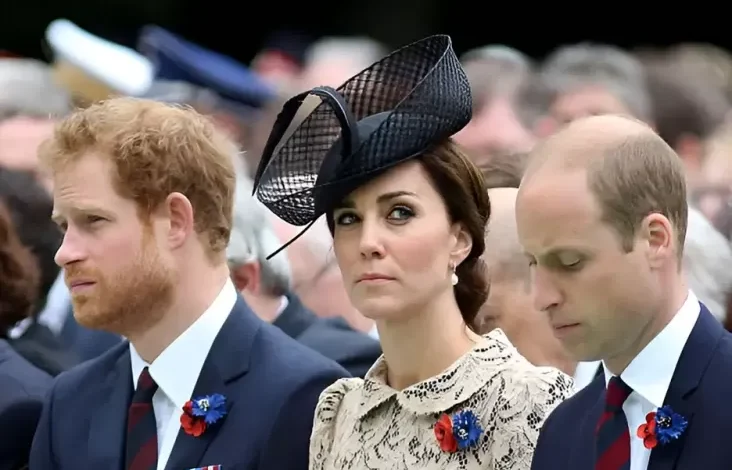 Kate Middleton Menyerah Damaikan Pangeran William lalu juga Harry, Sudah Angkat Tangan