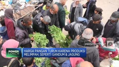 Koperasi-Community Supported Agriculture juga Model Lumbung Mataraman
