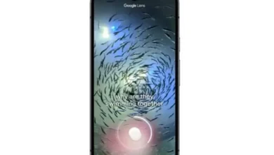 Makin Canggih, Google Lens Interaktif Jawab Pertanyaan tentang Video