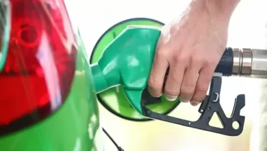 Mendorong Pengembangunan Bioethanol dari Informan Selain Tebu