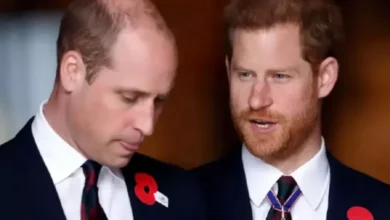 Merasa Tersakiti, Kate Middleton lalu Pangeran William Tak akan Pernah Maafkan Harry kemudian Meghan Markle