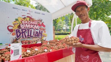 BRI Bikin Klaster Kelengkeng pada Tuban Makin Bersinar Lewat Hal ini
