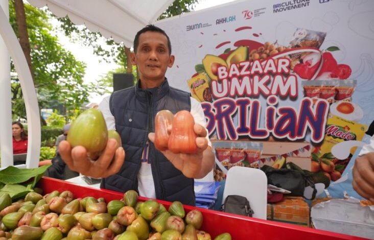 Pengusaha Jambu pada area Kudus Maju Kembangkan Usaha Berkat Pemberdayaan BRI