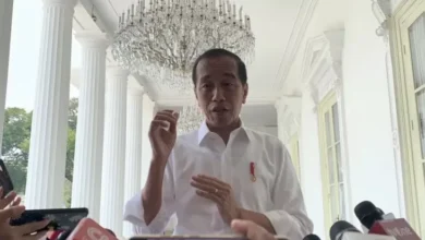 Penilaian 10 Tahun Prestasi Jokowi, LSI Denny JA: 3 Rapor Biru, 1 Rapor Merah