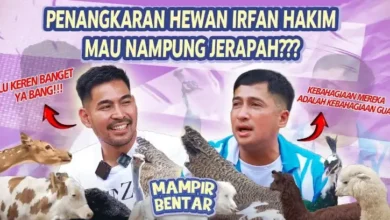 Petualangan Robby Purba pada Bumi Makhluk Hidup Bersama Irfan Hakim: Tawa, Edukasi, lalu Cinta