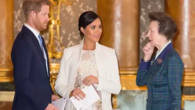 Putri Anne Sindir Pangeran Harry-Meghan Markle, Isyaratkan Bakal Cerai?