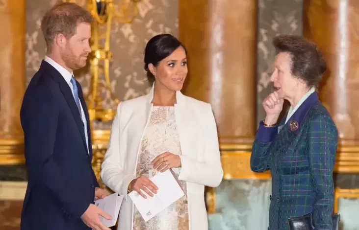 Putri Anne Sindir Pangeran Harry-Meghan Markle, Isyaratkan Bakal Cerai?