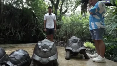 Robby Purba juga Irfan Hakim Bahas Rezeki dan juga Fauna Peliharaan, Ada Hubungannya?