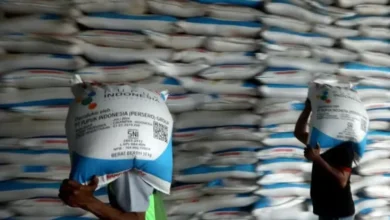 Strategi Pupuk Indonesia Wujudkan Ketahanan Pangan Nasional