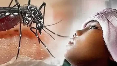 Takeda Global Apresiasi Kepemimpinan Indonesia di dalam Pencegahan kemudian Penanggulangan DBD