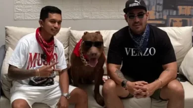 Teknik Jitu Mengatasi Perilaku Dominan Anjing, Tips lalu Trik dari YouTube Robby Purba