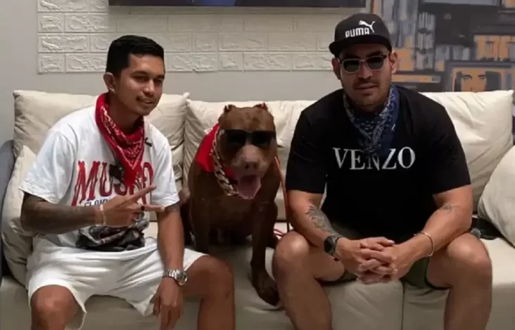 Teknik Jitu Mengatasi Perilaku Dominan Anjing, Tips lalu Trik dari YouTube Robby Purba