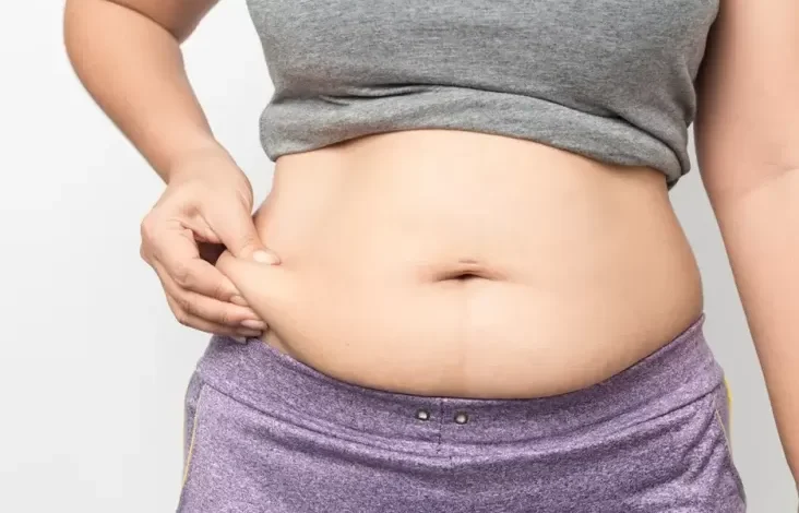 Tidak Makan Nasi tapi Berat Badan Tetap Naik? Ini adalah adalah Penyebabnya