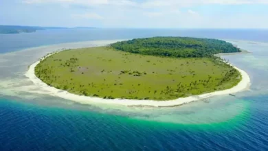12 Pulau di area pada Indonesia dengan Nama Hewan, Nomor 3 Dihuni Banyak Ular Laut