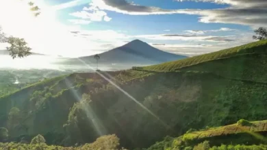 20 Rekomendasi Tempat Wisata dalam tempat Garut, Diselimuti Lingkungan Bebas Sejuk lalu Dingin