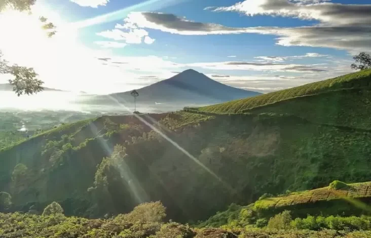 20 Rekomendasi Tempat Wisata dalam tempat Garut, Diselimuti Lingkungan Bebas Sejuk lalu Dingin