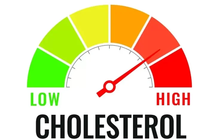 5 Ciri yang digunakan dimaksud Dirasakan Badan jikalau Kolesterol Tinggi, Nomor 2 Sering Dikira Maag