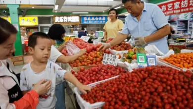 5 Negara dengan Tarif PPN di Atas 12%