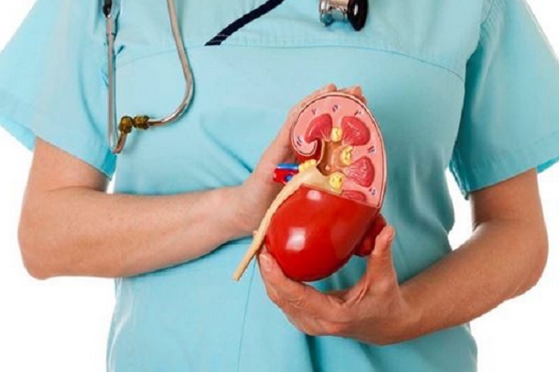 5 Sistem Sehari-hari yang tersebut Dapat Merusak Ginjal Jika Tak Digunakan dengan Bijak