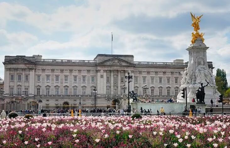 7 Pria yang mana mana Berhasil Masuk Istana Buckingham bak Drama Film, Salah Satunya Curi Celana Dalam Ratu