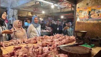 Harga pangan, daging ayam naik Rp1.950 menjadi Rp38.070 per kg