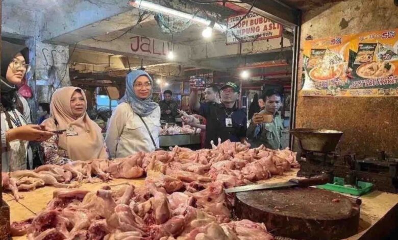 Harga pangan, daging ayam naik Rp1.950 menjadi Rp38.070 per kg