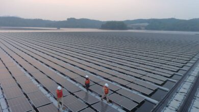 “Jembatan hijau” kemitraan energi terbarukan Indonesia-China