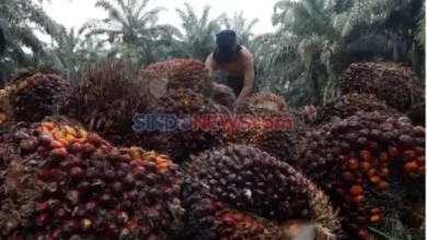 Akademisi: Stigma Negatif LCPKS sebagai Limbah Sangat Sangat Merugikan Perlu Dihapus