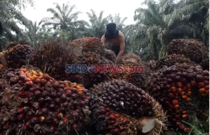 Akademisi: Stigma Negatif LCPKS sebagai Limbah Sangat Sangat Merugikan Perlu Dihapus