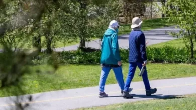 Apa yang Berhasil apabila Seseorang Berjalan 20.000 Langkah Sehari?