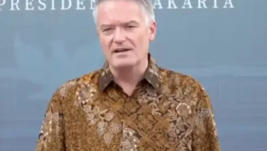 Bos OECD Temui Prabowo pada Istana, Hal ini adalah yang dimaksud yang disebutkan Dibahas