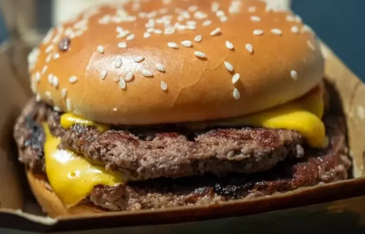 Burger McD Tercemar Bakteri E. Coli, 75 Orang Jatuh Sakit lalu 1 Meninggal Planet
